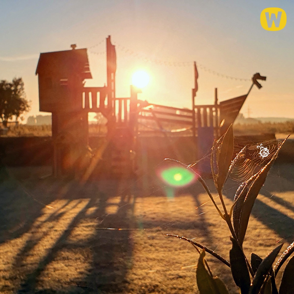 Trætophus Wickey Prime NeverLand Gold uden turborutsjebane 621060_k